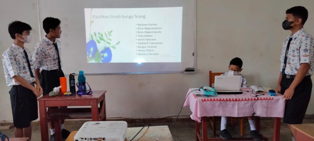 WhatsApp Image 2023-05-11 at 12.45.27